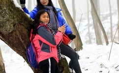 忘忧草在线观看网